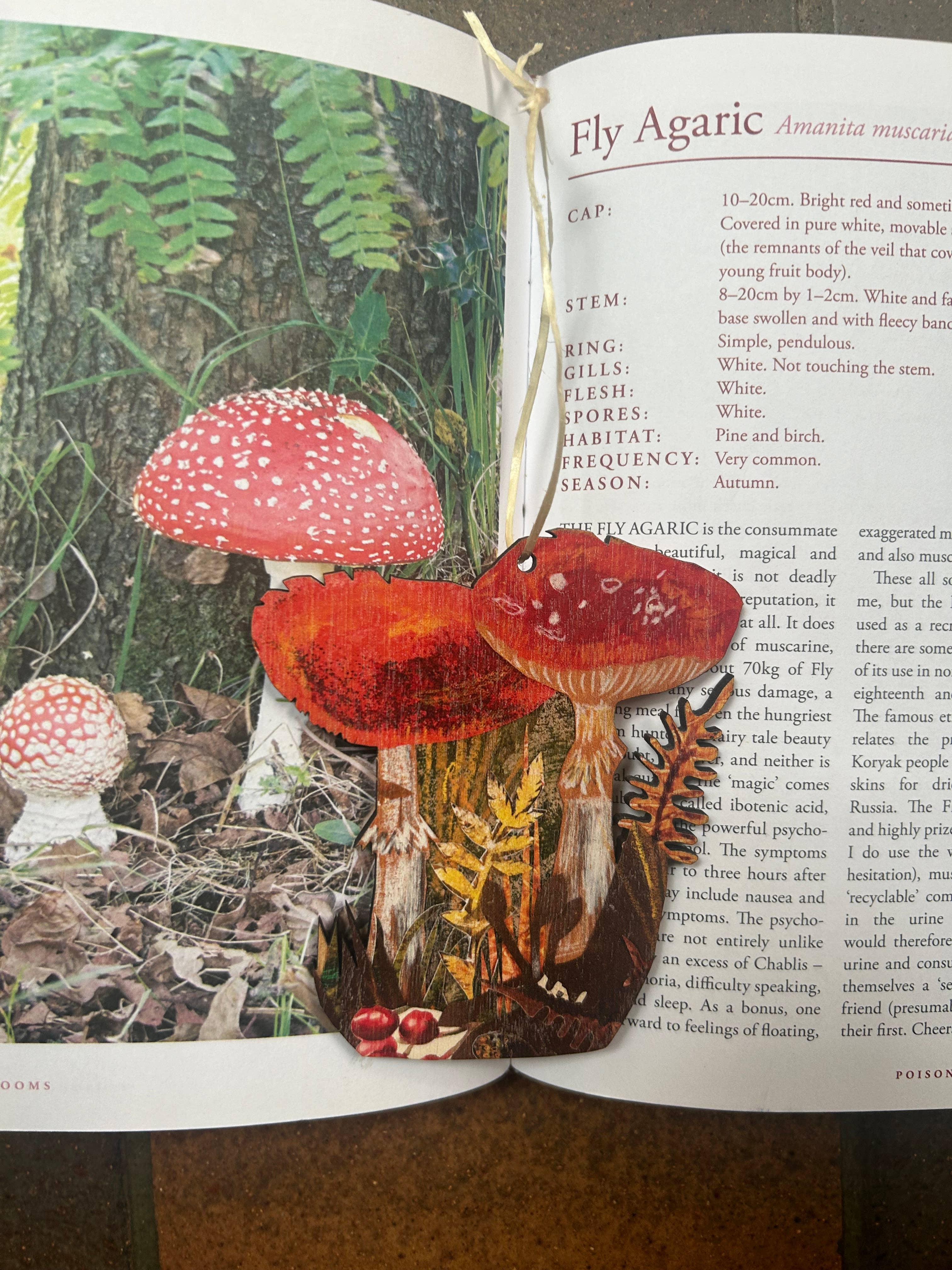 FSC approved birch plywood Toadstools decoration