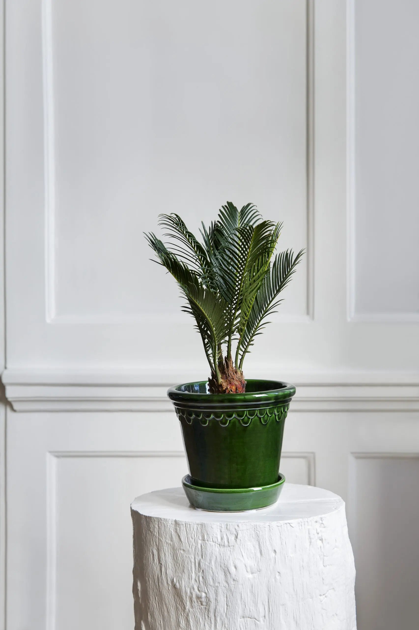 Københavner Glazed Green