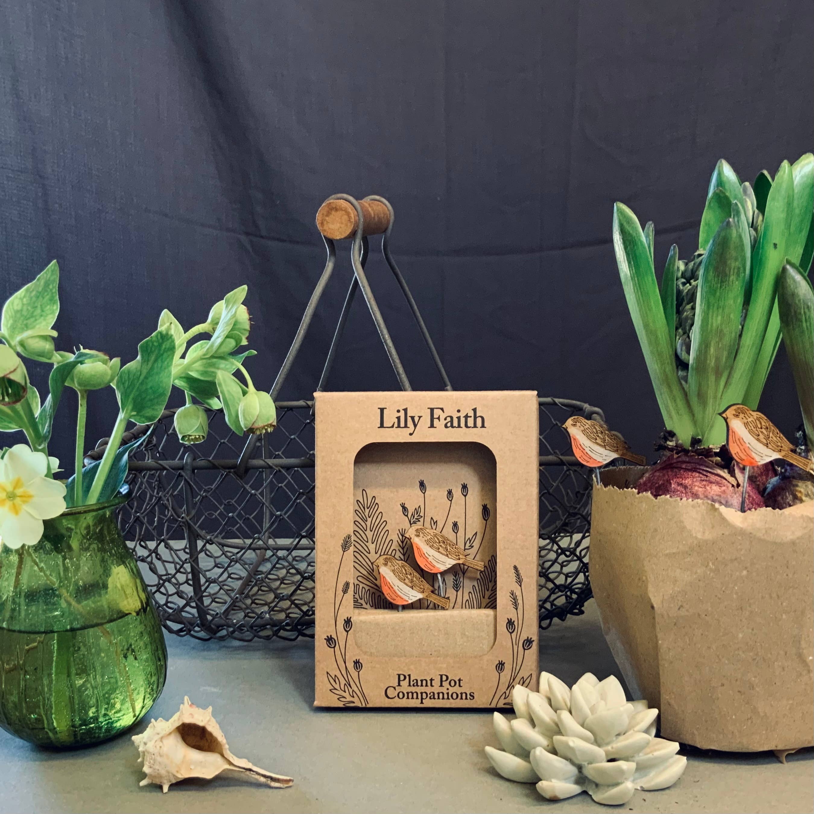 Robin Plant Pot Companions