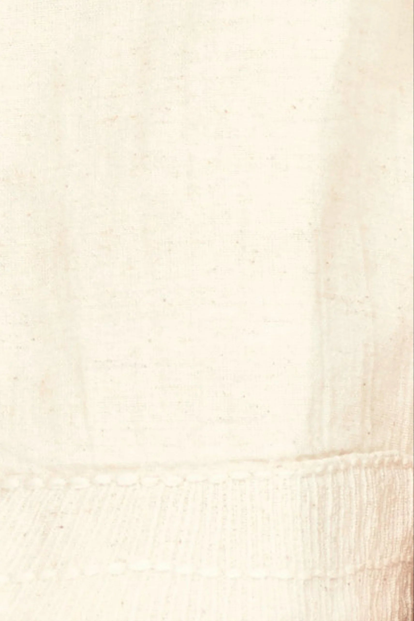 SEYCHELLES TOP IN OAT FOSSIL