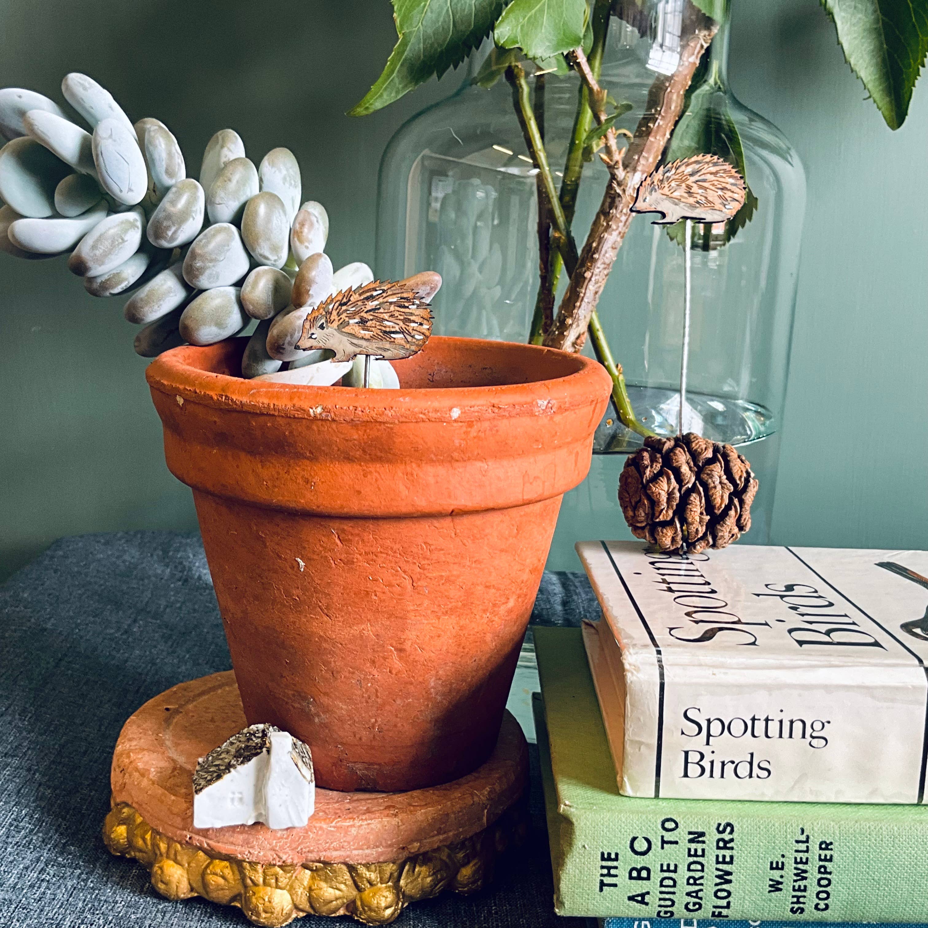 Hedgehog Plant Pot Companions