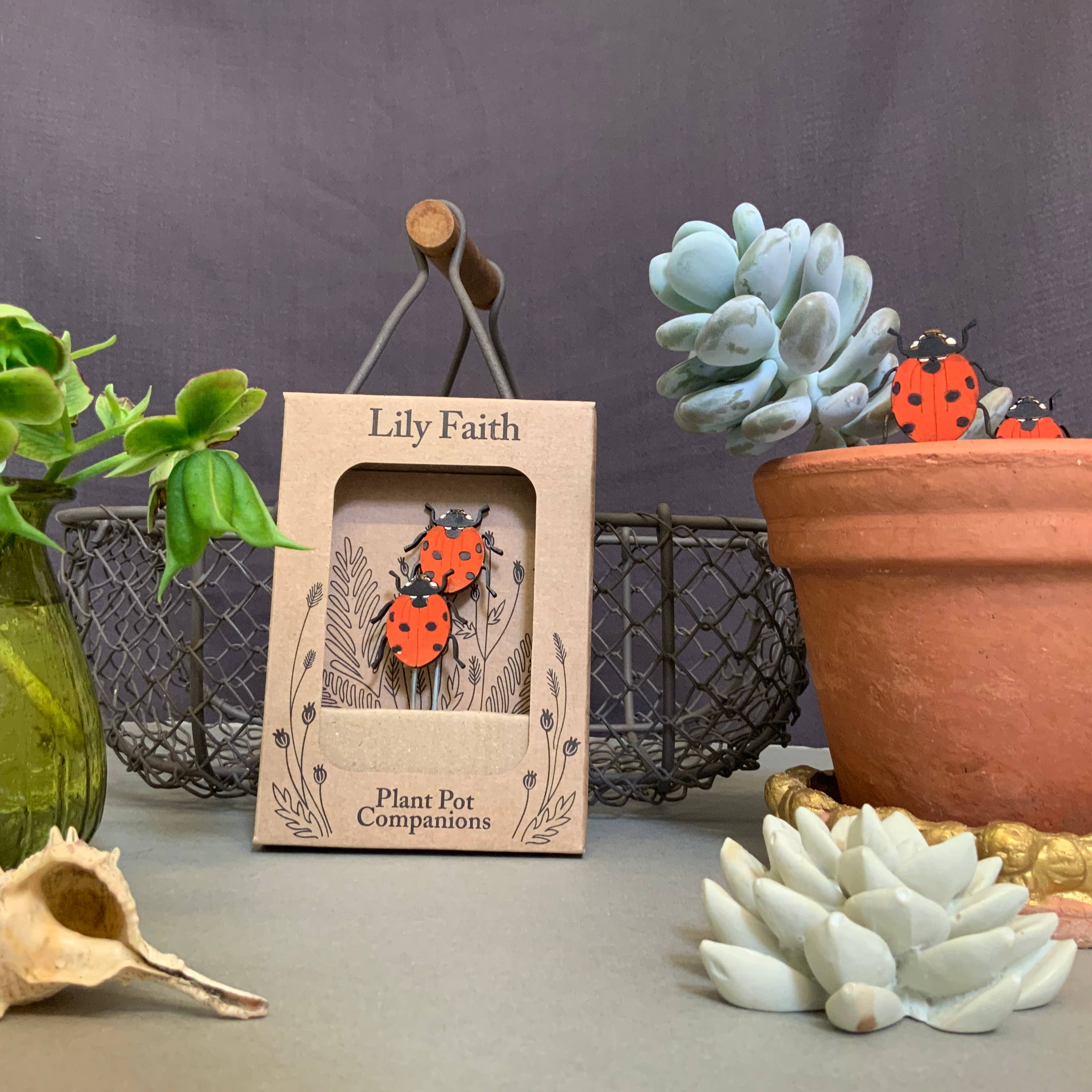 LadybirdPlant Pot Companions