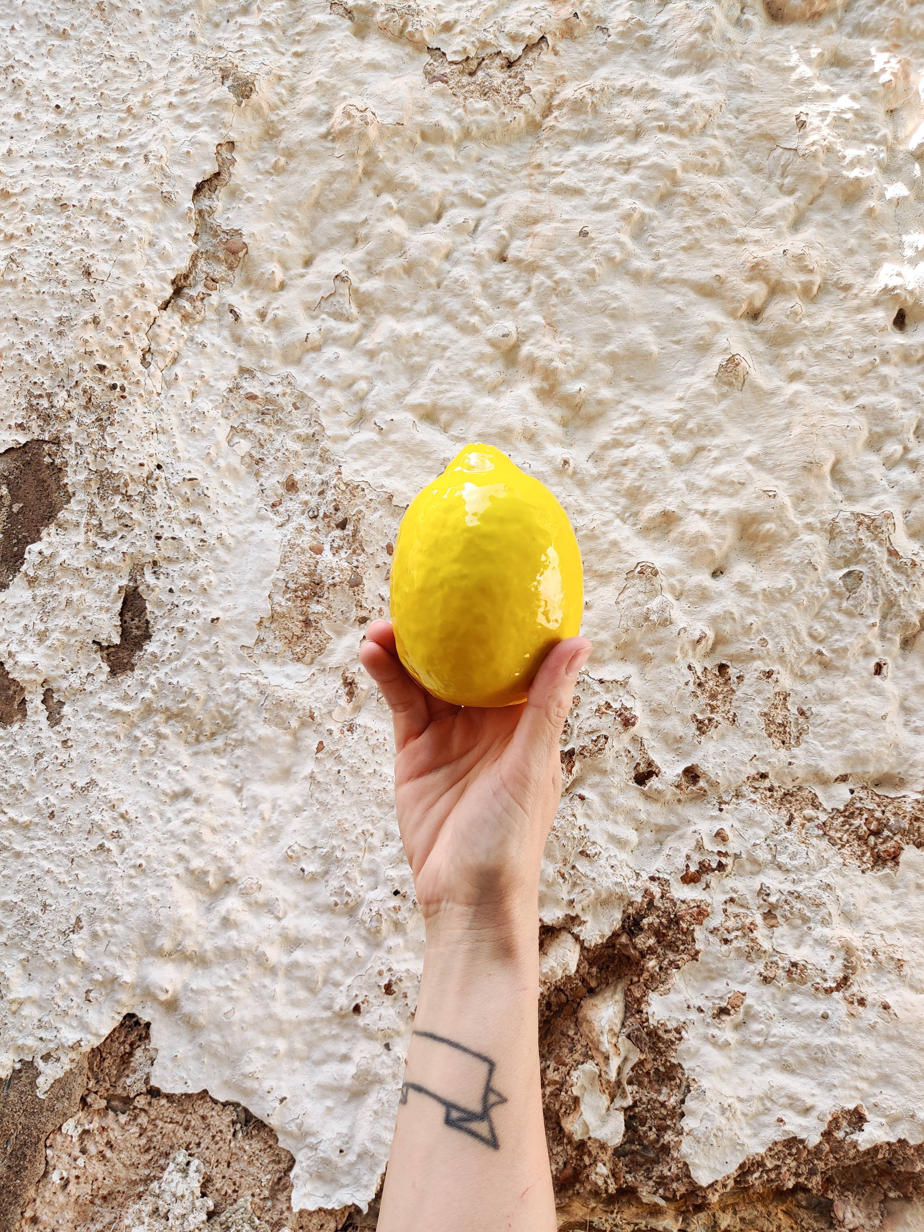 Ceramic lemon fruit