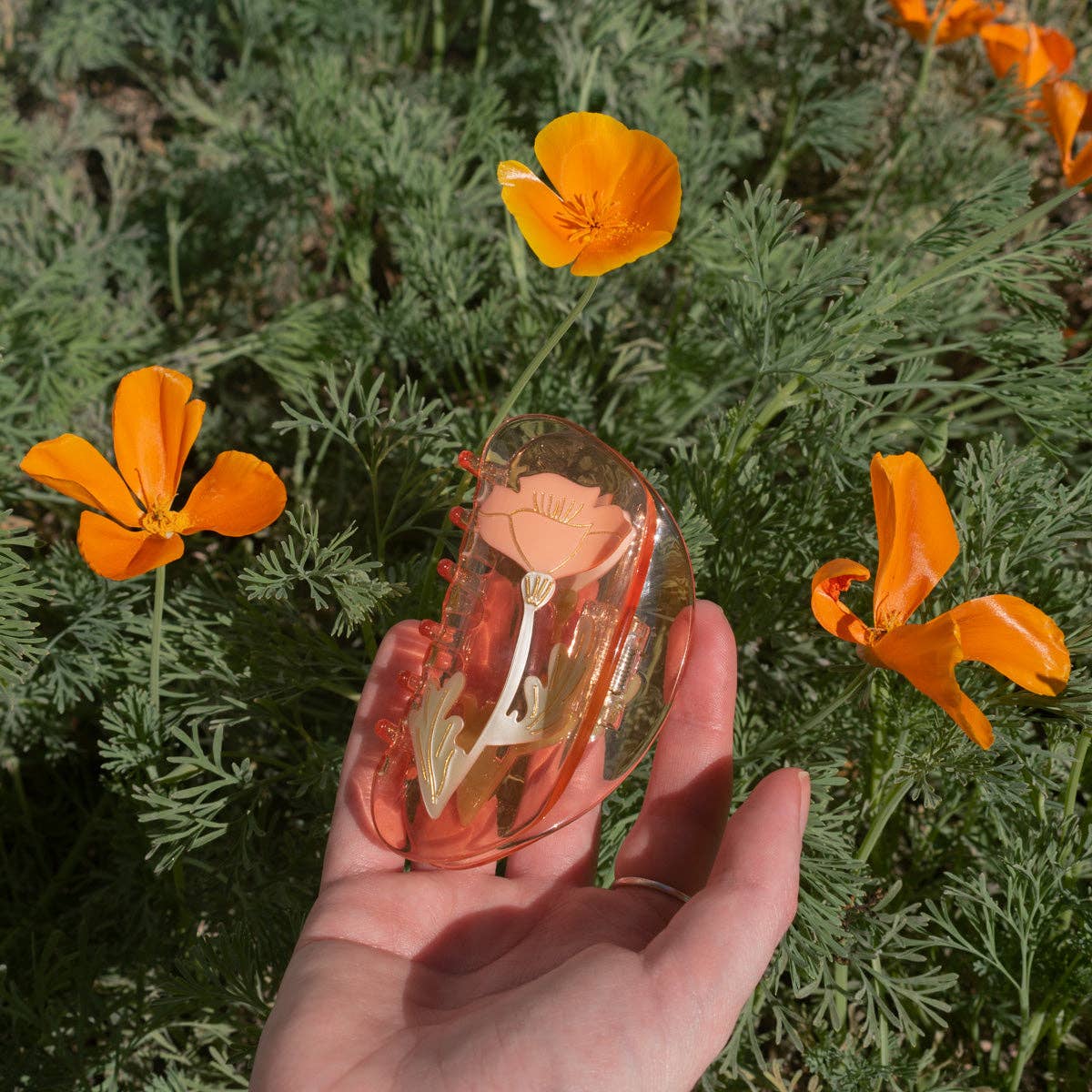 California Poppy Claw