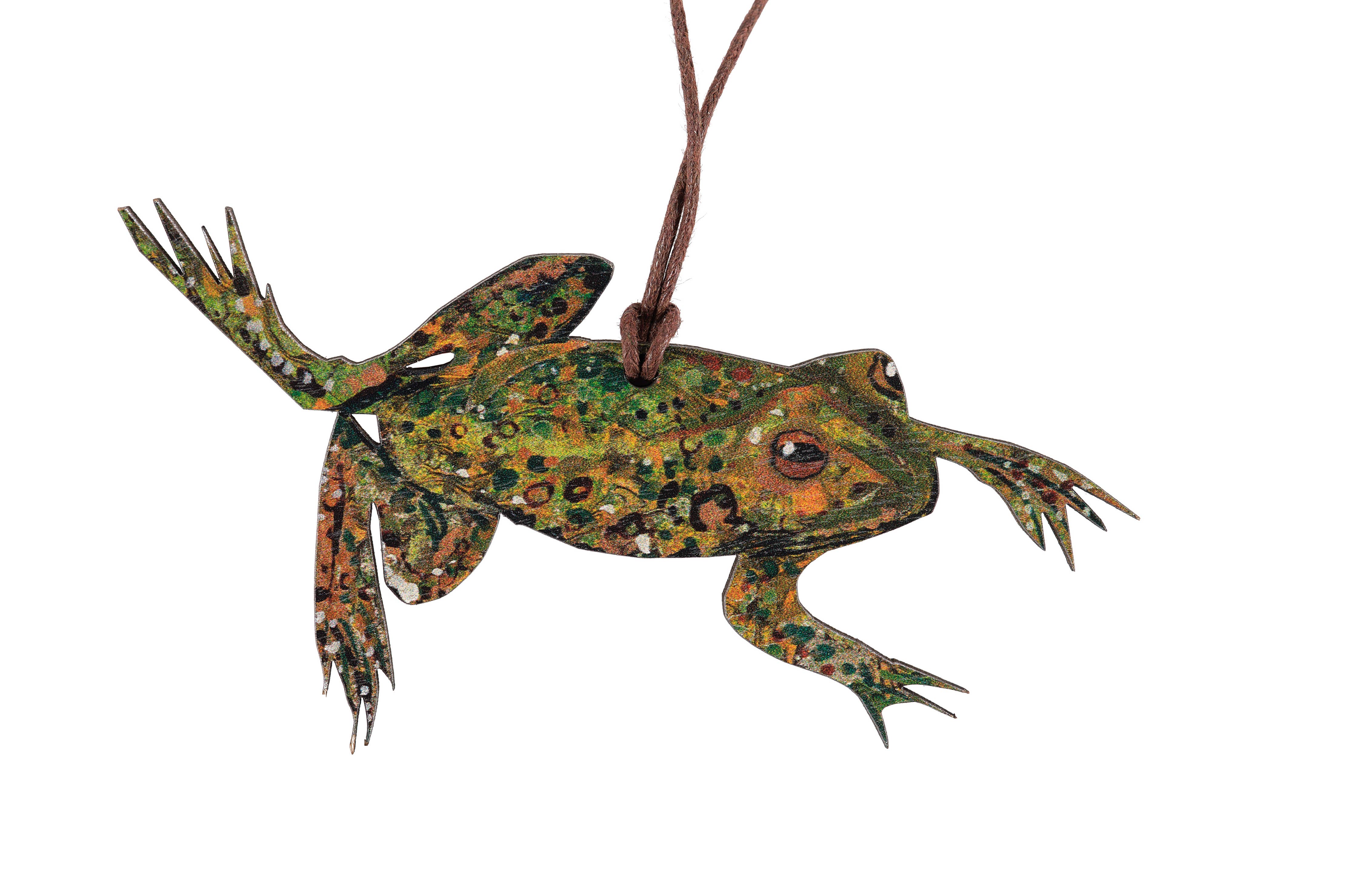 FSC approved birch plywood Frog decoration