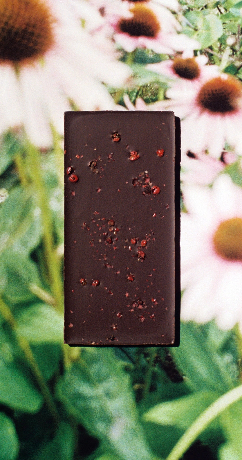 PINK PEPPERCORN 70% DARK CHOCOLATE