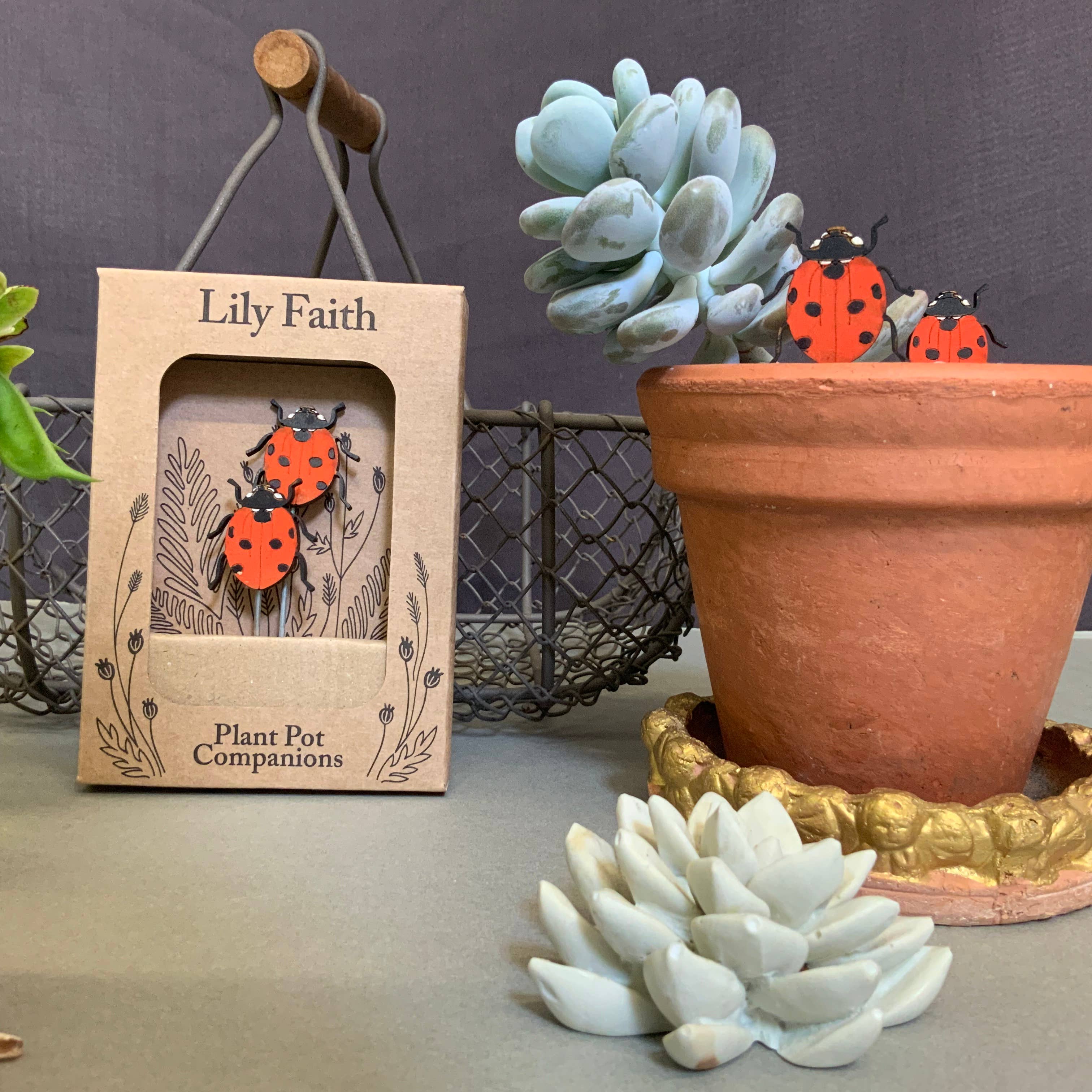 LadybirdPlant Pot Companions