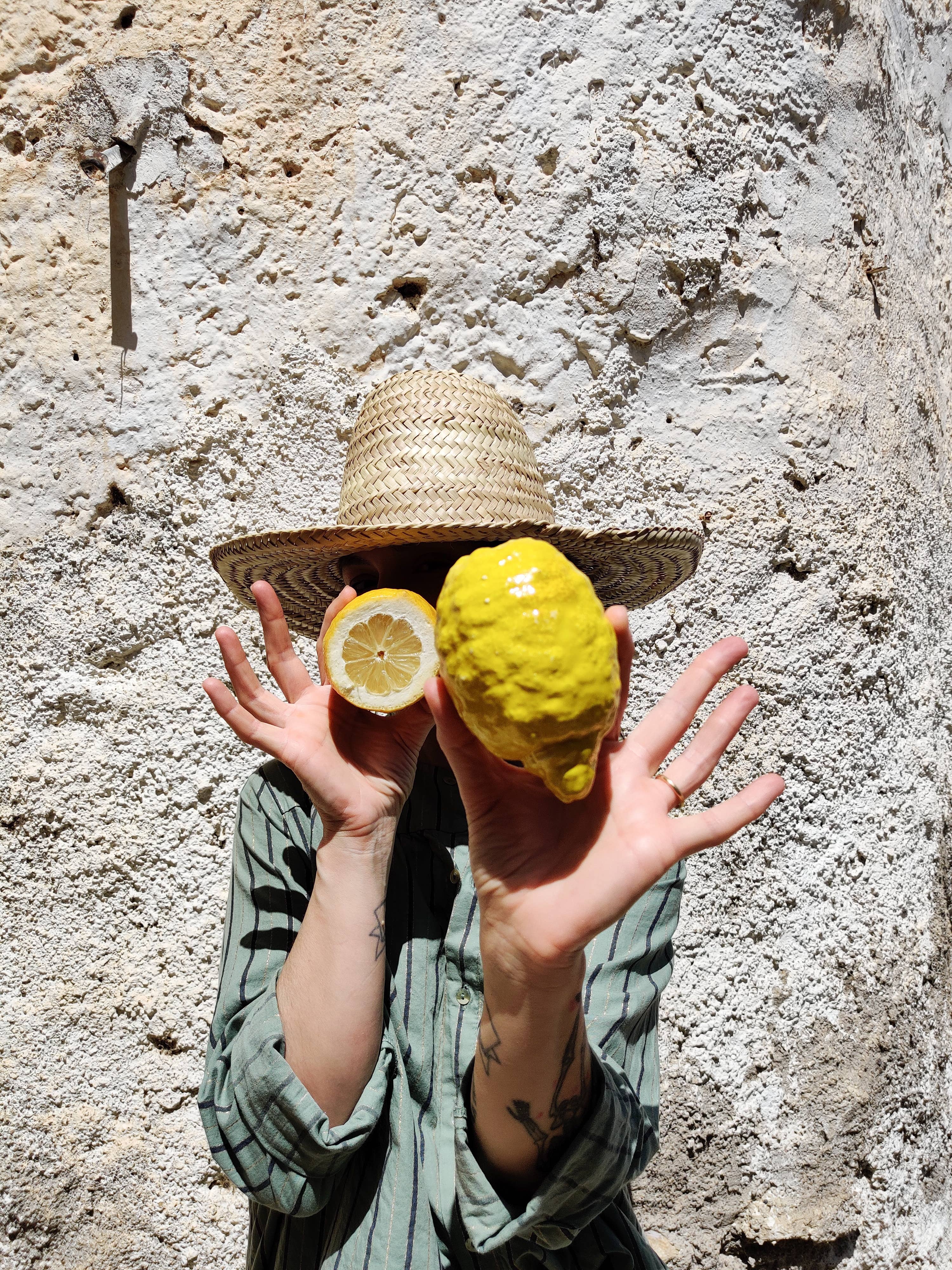 Ceramic lemon fruit