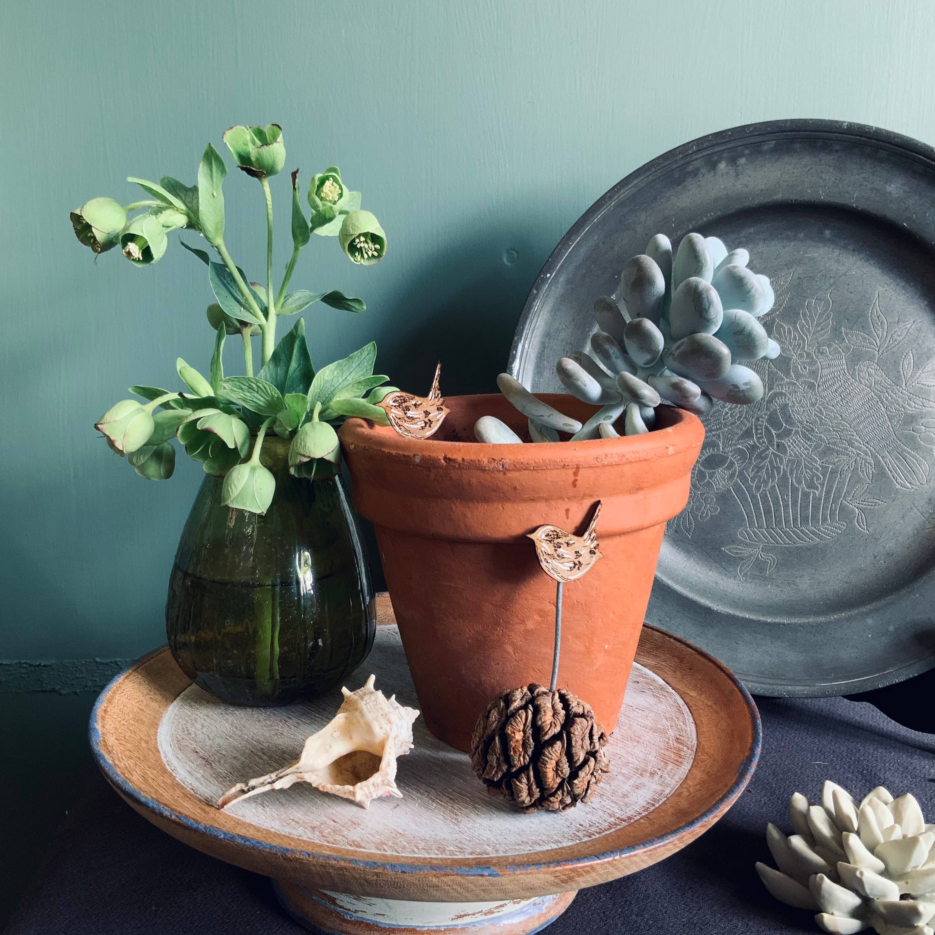 Wren Plant Pot Companions