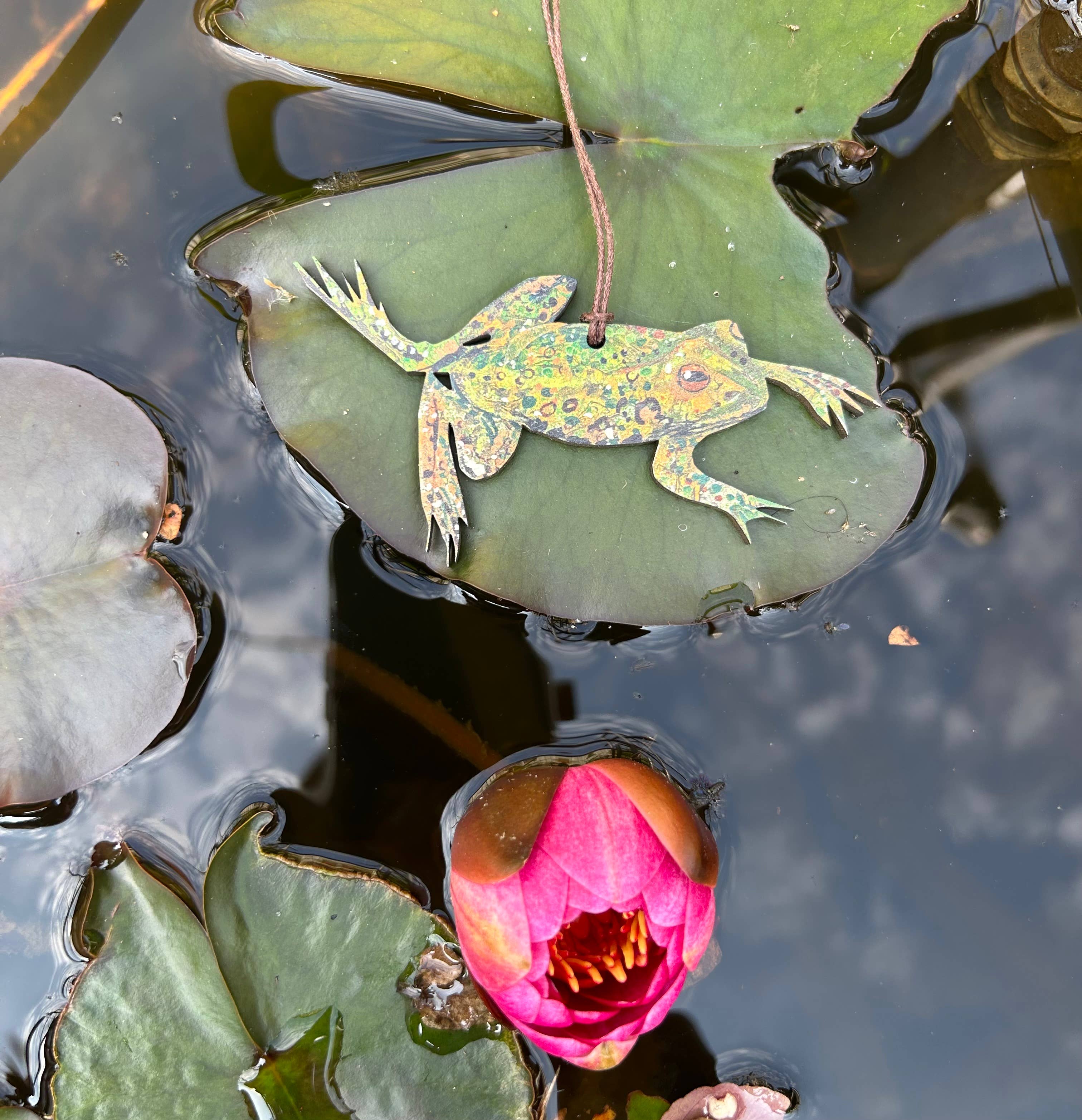 FSC approved birch plywood Frog decoration