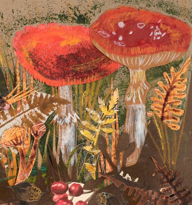 Fly Agaric Blank Greeting Card 