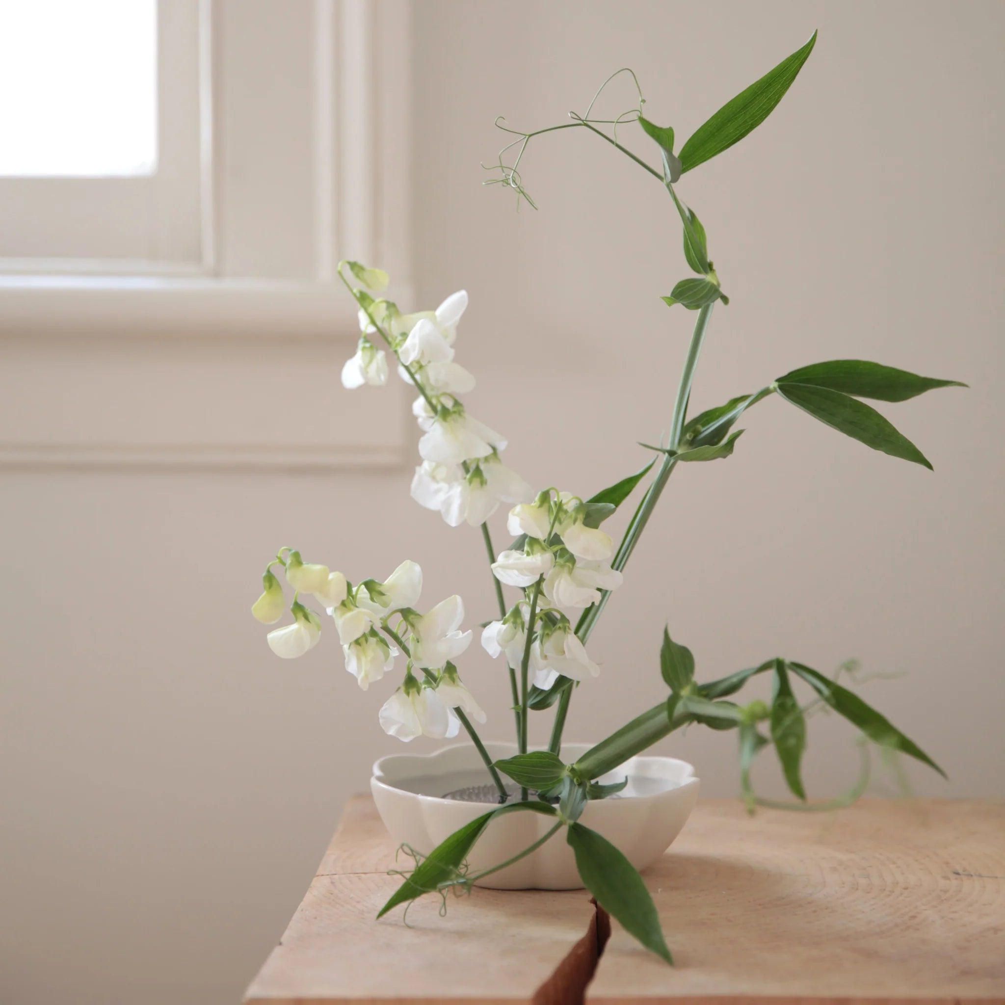 Ceramic Fleur Dish