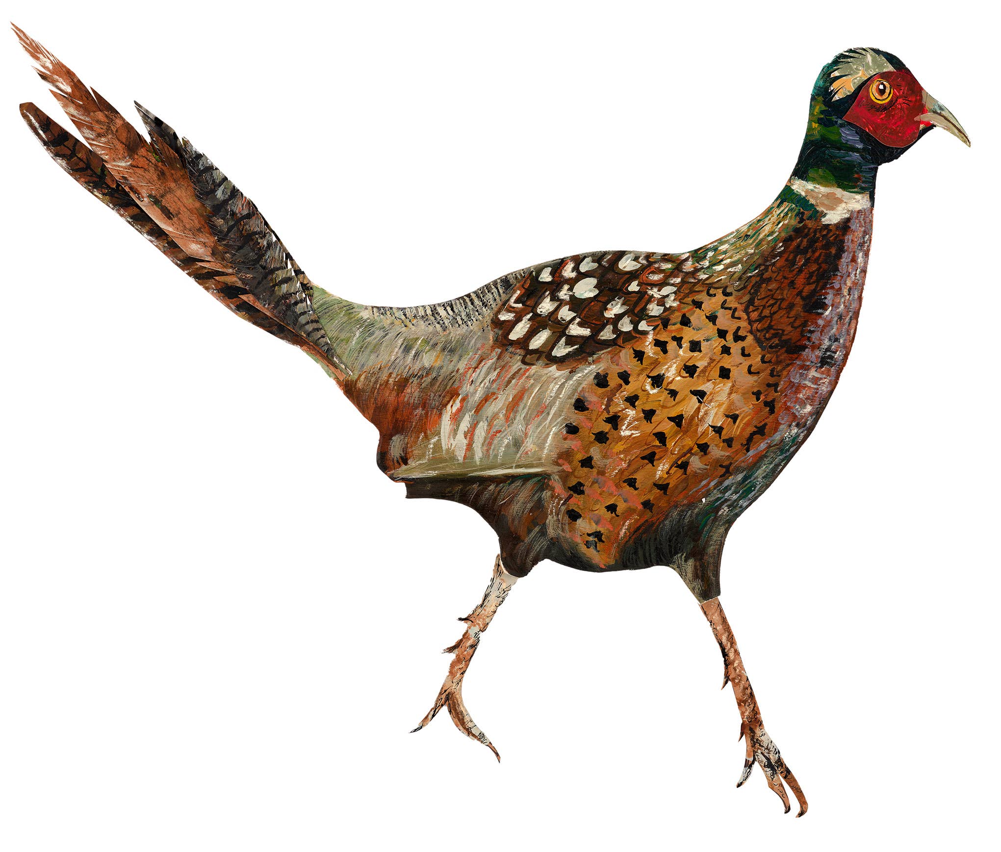 FSC approved birch plywood Pheasant decoration