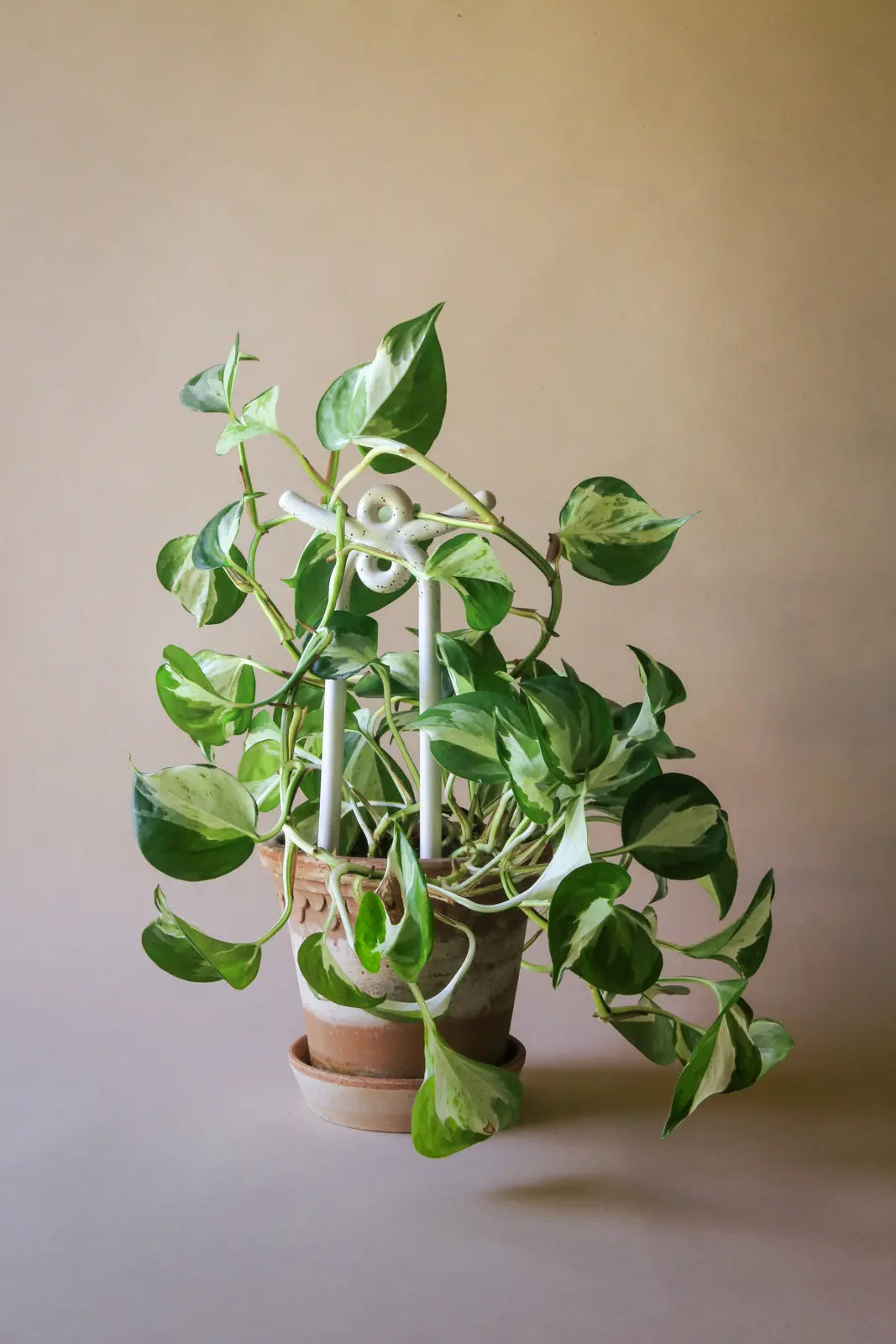 Folk Plant Stakes
