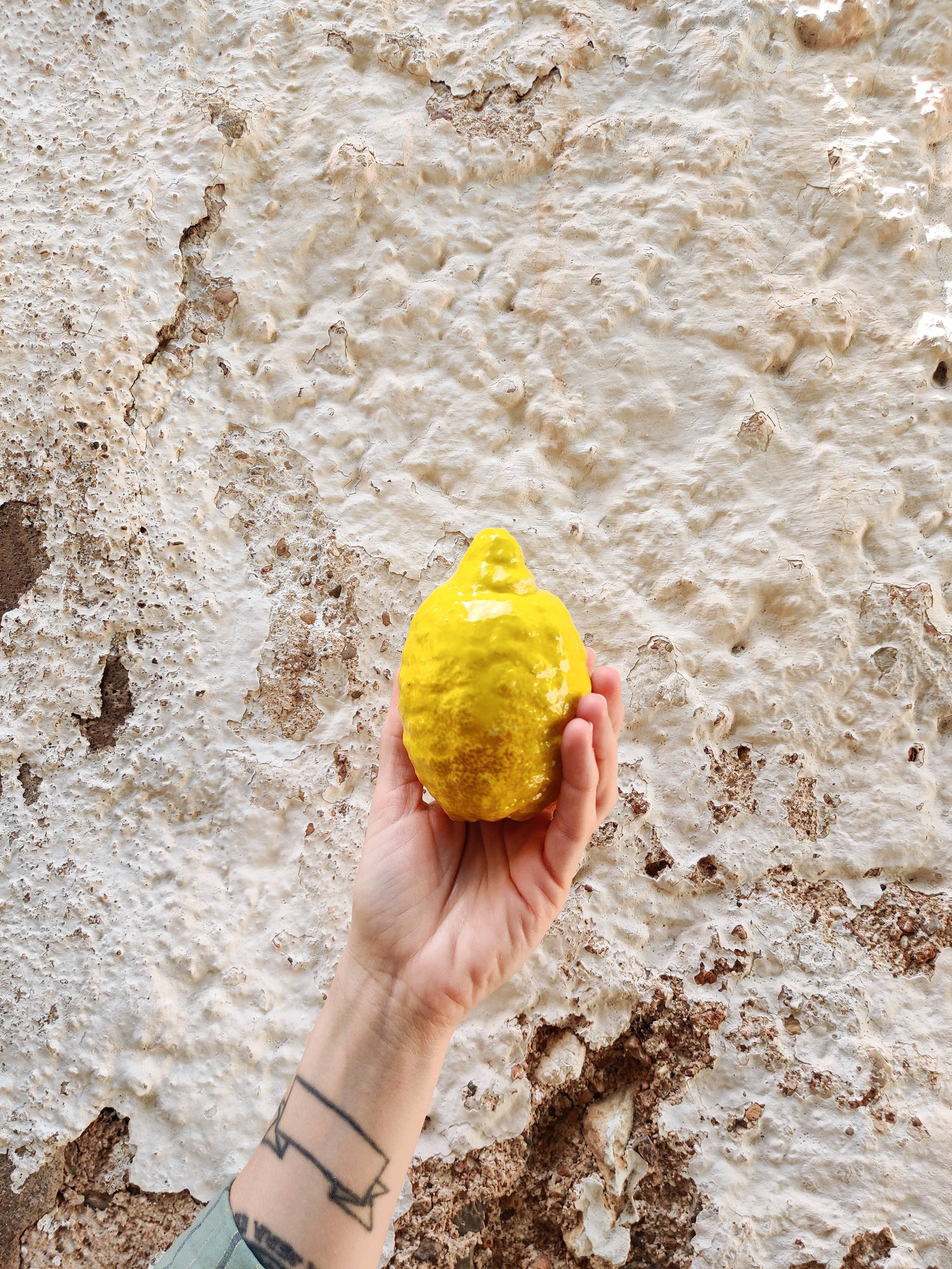 Ceramic lemon fruit